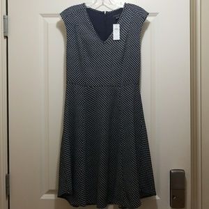 NWT Ann Taylor Navy and White Dress